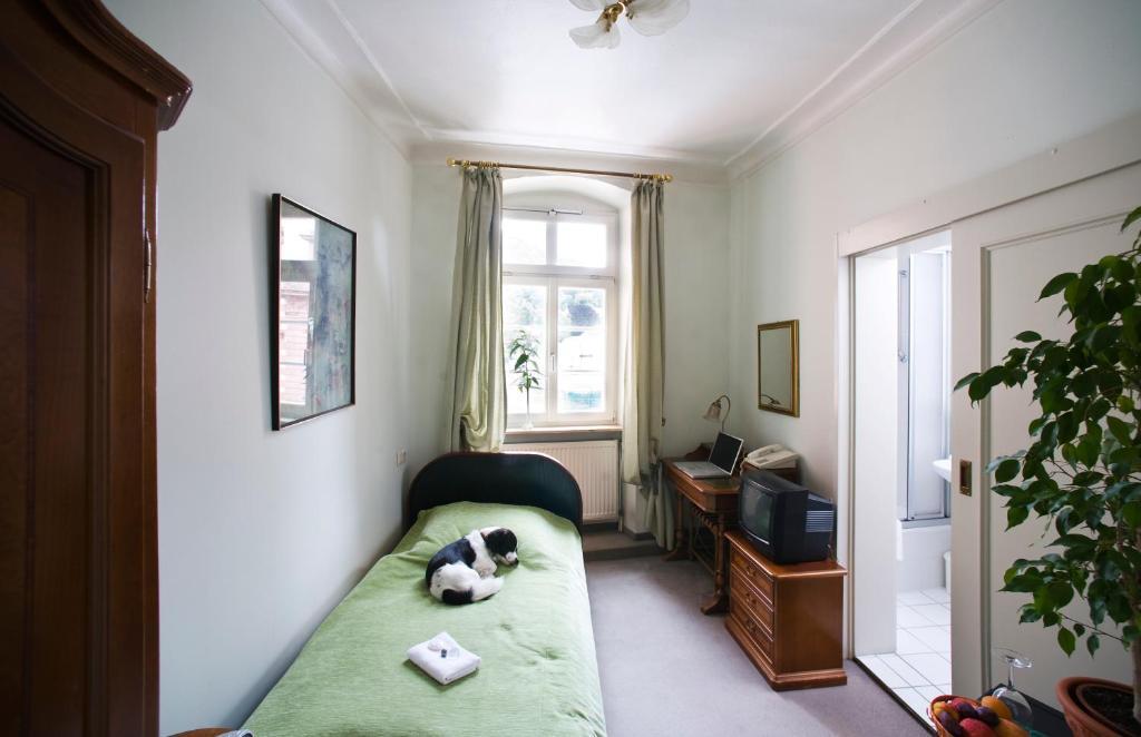 Hotel Goldener Hecht Heidelberg Værelse billede