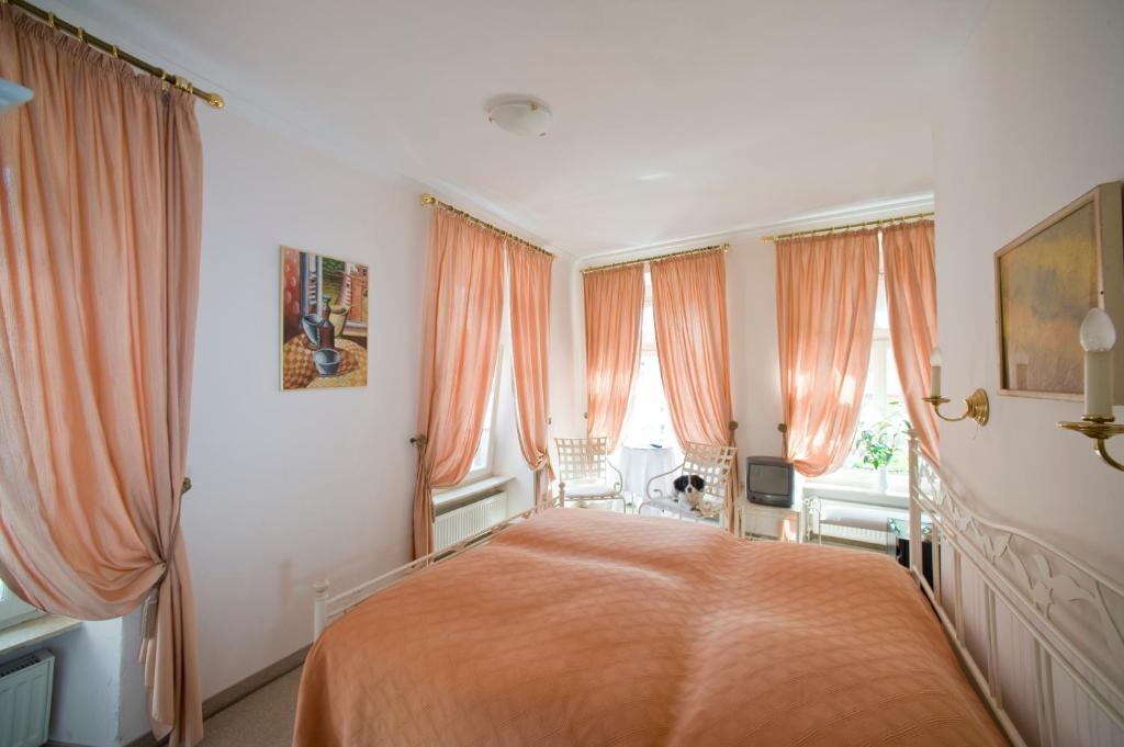 Hotel Goldener Hecht Heidelberg Værelse billede