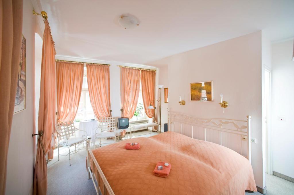 Hotel Goldener Hecht Heidelberg Værelse billede