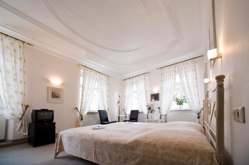 Hotel Goldener Hecht Heidelberg Værelse billede